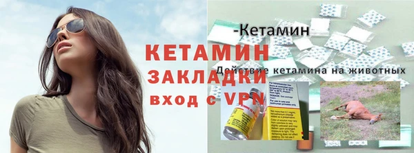 шишки Белокуриха