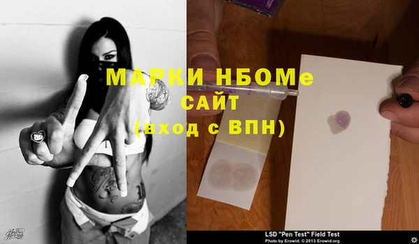 шишки Белокуриха