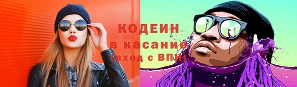 шишки Белокуриха