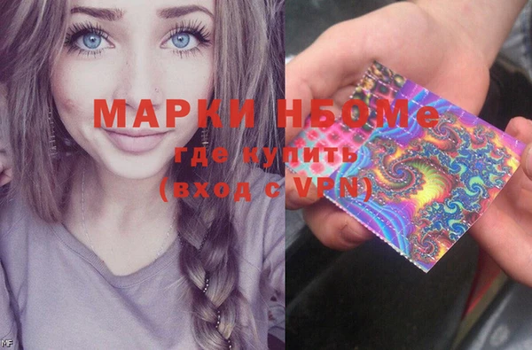 шишки Белокуриха