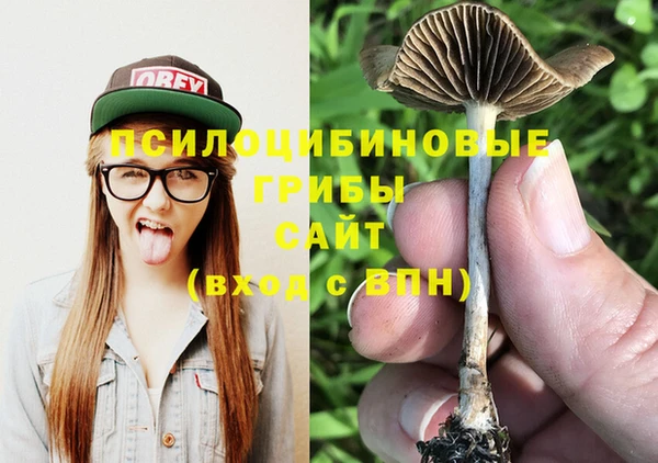 шишки Белокуриха