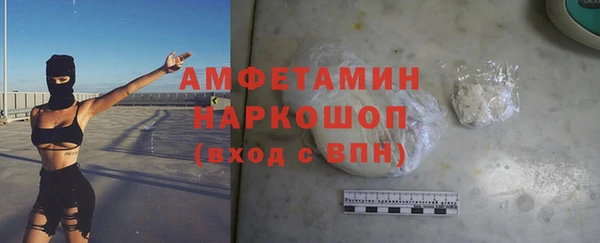шишки Белокуриха