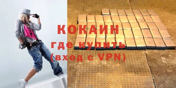 шишки Белокуриха