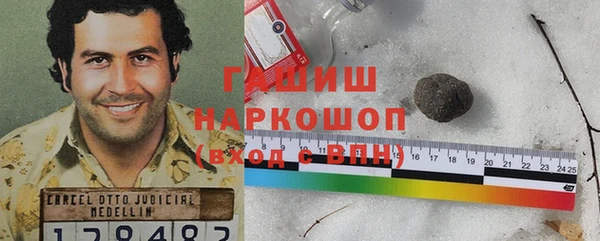 шишки Белокуриха