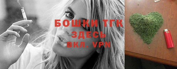 шишки Белокуриха