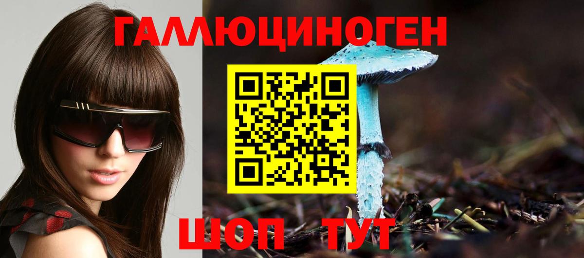 Галлюциногенные грибы MAGIC MUSHROOMS  где найти наркотики  Гатчина  Вход с VPN  Псилоцибиновые грибы MAGIC MUSHROOMS 
