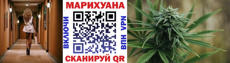где можно купить   mega ссылка  Бошки Шишки индика  Гатчина 